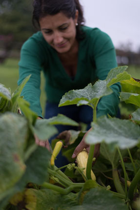 Rebecca Smith - Nature Studio - horticultural therapy – NBIs - gardening - horticulture - nature - hello